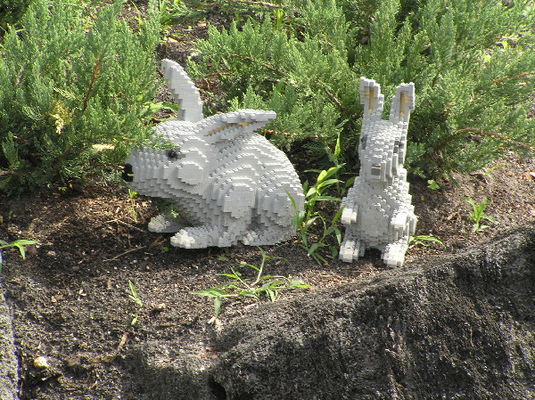 legoland-058.jpg