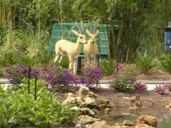 legoland-161.jpg