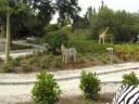 legoland-167.jpg