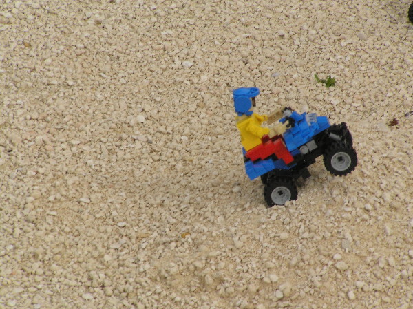 miniland-120.jpg