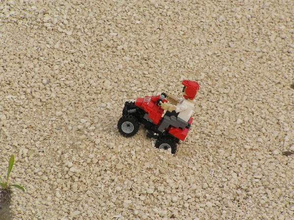 miniland-121.jpg