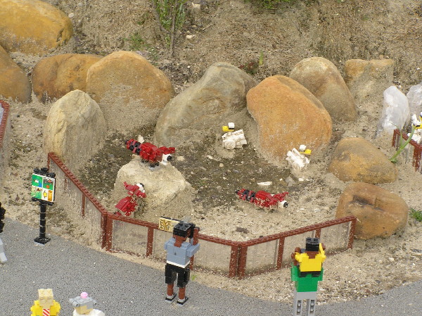 miniland-131.jpg