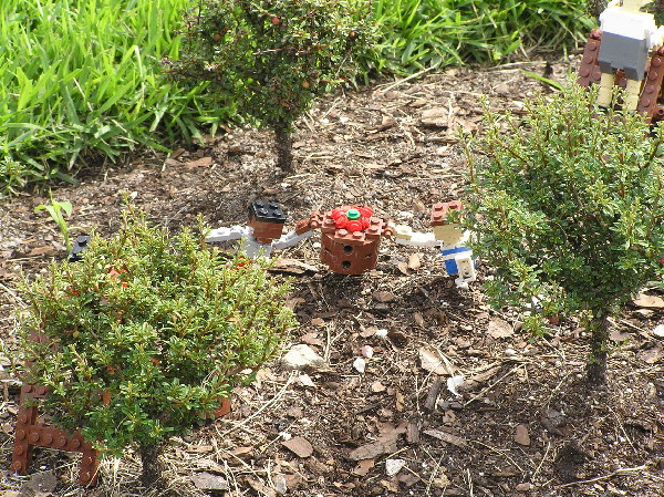 miniland-362.jpg