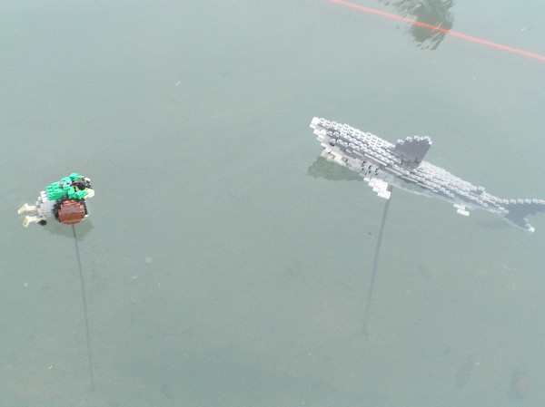 miniland-483.jpg