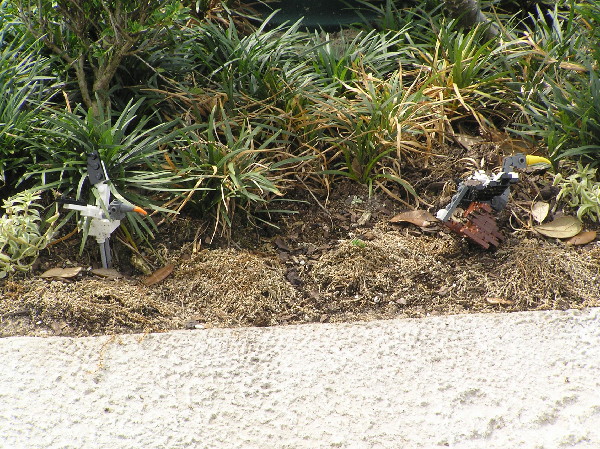 miniland-615.jpg