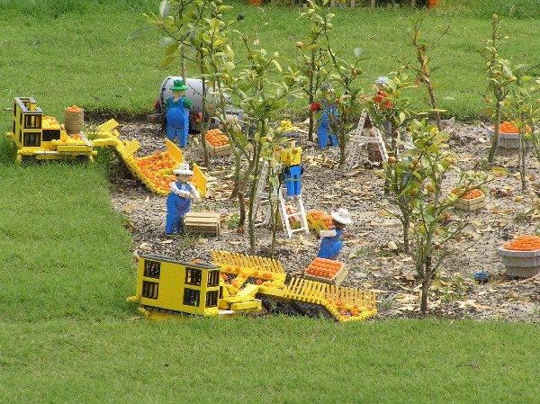 miniland-642.jpg