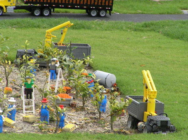 miniland-644.jpg