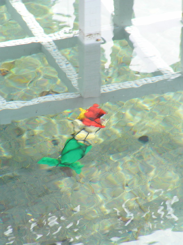 miniland-655.jpg
