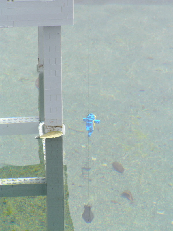 miniland-656.jpg