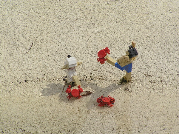 miniland-664.jpg