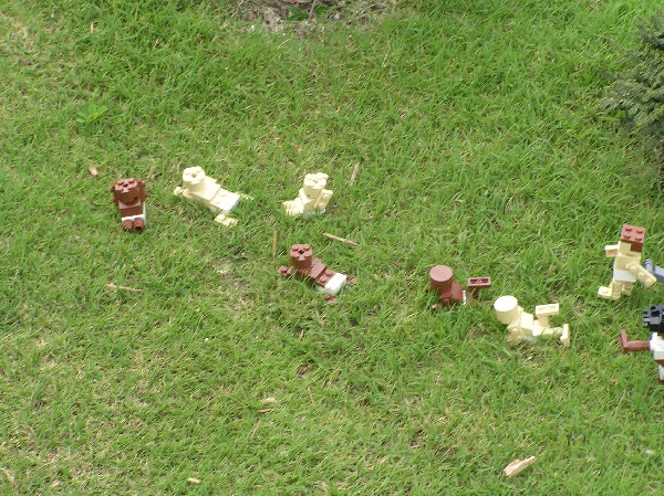 miniland-697.jpg