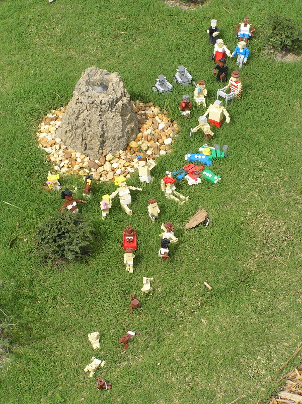 miniland-706.jpg