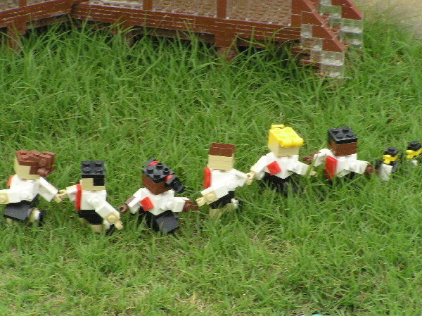 miniland-817.jpg