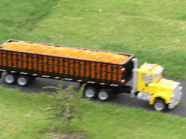 miniland-887.jpg