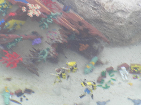 miniland-905.jpg
