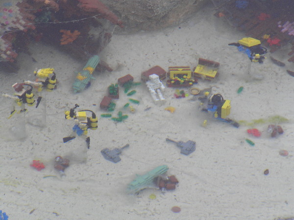 miniland-906.jpg