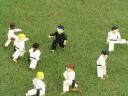 miniland-150.jpg