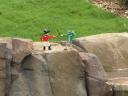 miniland-492.jpg