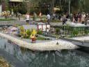 miniland-590.jpg