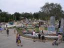 miniland-714.jpg