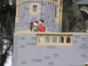 miniland-808.jpg