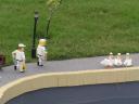 miniland-825.jpg