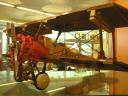 2009-08-08-059.jpg