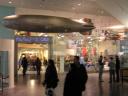 2006-11-18-32.jpg