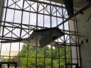 2011-05-07-054.jpg