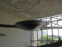 2011-05-07-096.jpg