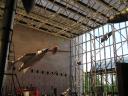 2011-05-07-134.jpg