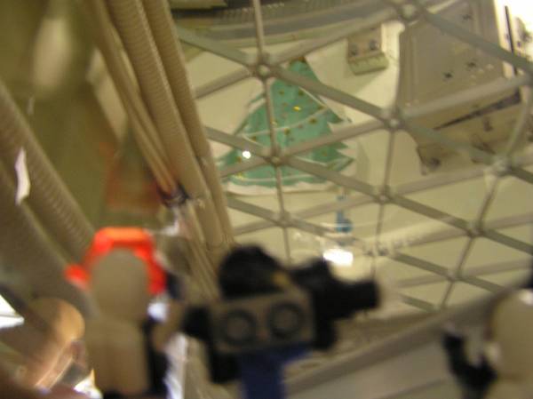 2006-04-15-271.jpg