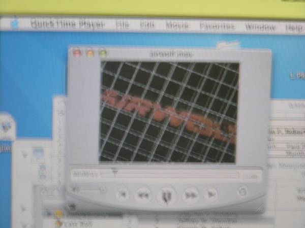 2004-12-12-62pc.jpg