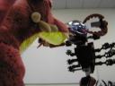 2005-04-10-36p.jpg
