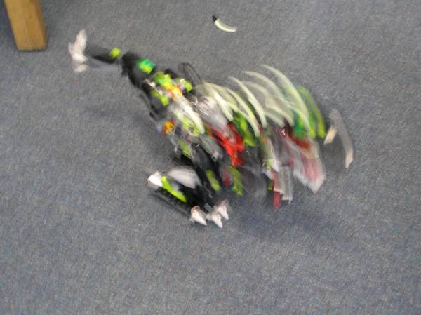 2007-08-12-040.jpg