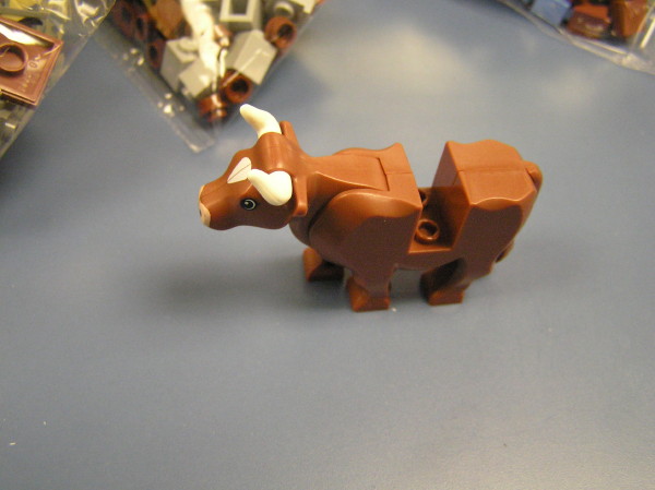 2009-01-10-130.jpg