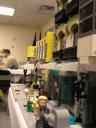 2009-02-08-117.jpg