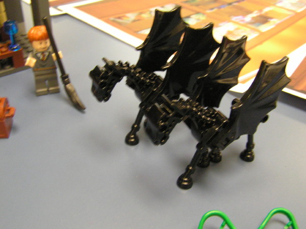 2009-05-09-103.jpg