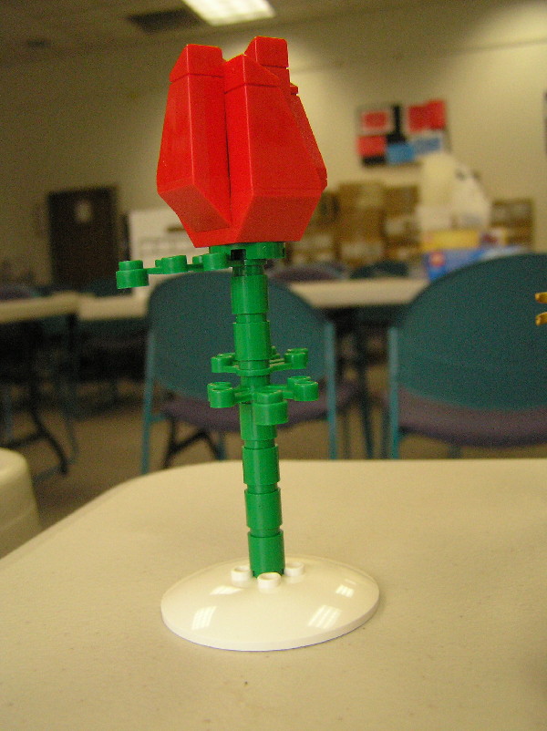 2010-04-03-006.jpg