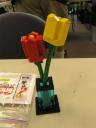 2011-05-14-120.jpg