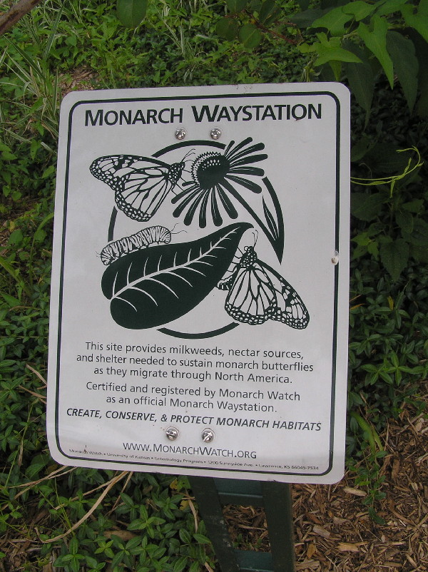 2011-06-11-009.jpg
