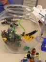 2011-06-11-034.jpg