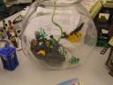 2011-06-11-173.jpg