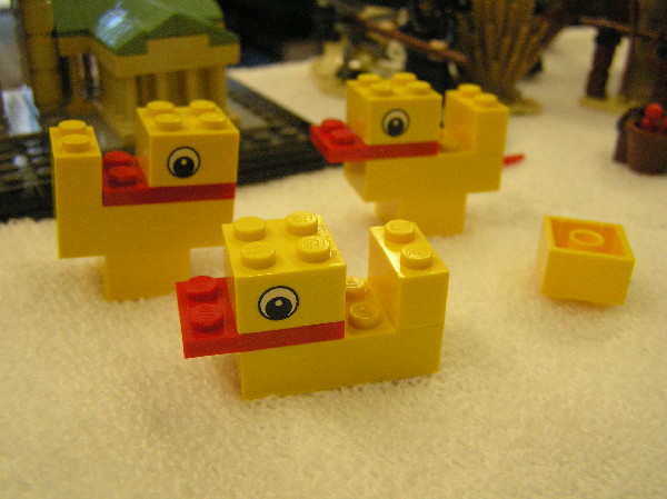 2012-01-14-115.jpg