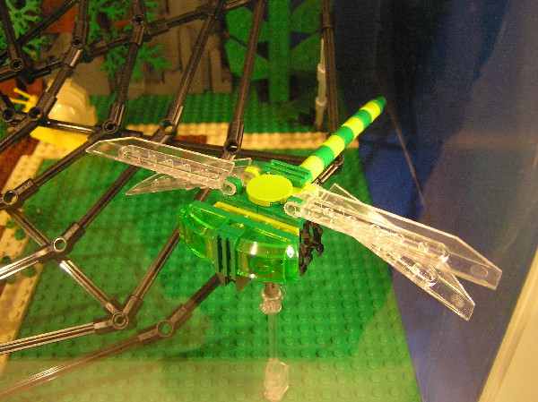 2012-01-14-164.jpg