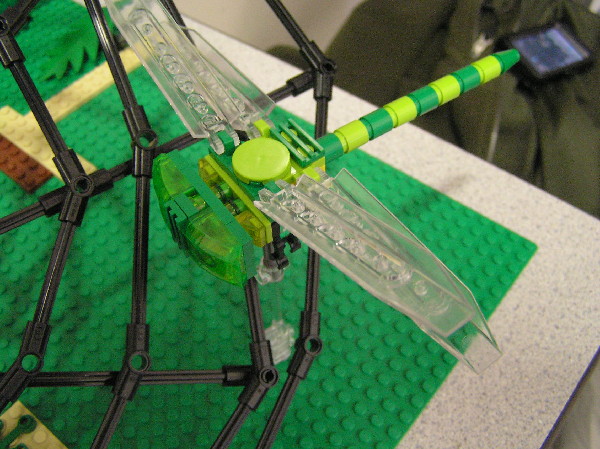 2012-02-11-060.jpg