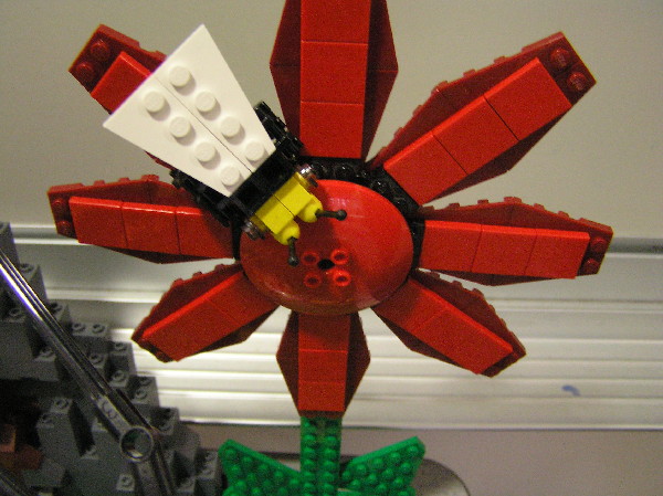 2012-02-11-061.jpg