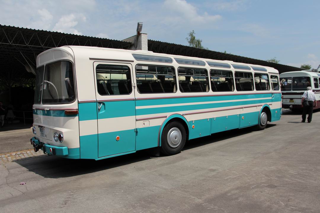 15-bus_sd11-real.jpg