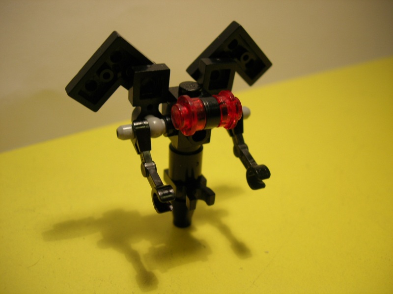 dscn0981.jpg