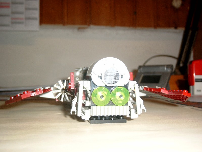010.jpg